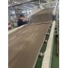 EVA隔音片材擠出機_EVA汽車內飾片材生產線